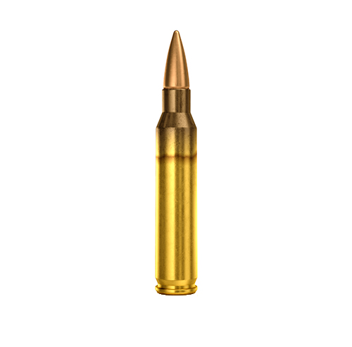 5.56x45mm Ball M193